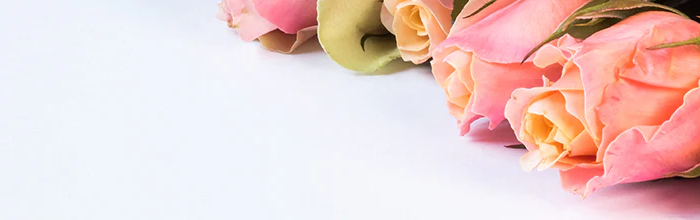 <h1>Hi there. How can we help you?</h1>