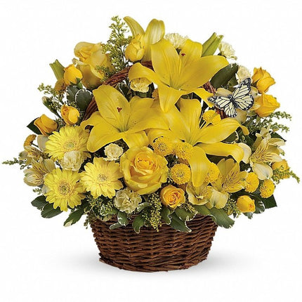 Basket Full of Wishes