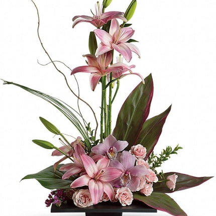 Imagination Blooms With Cymbidium Orchids