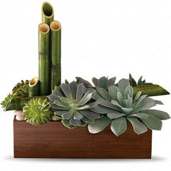 Collection image for: Sympathy Plants